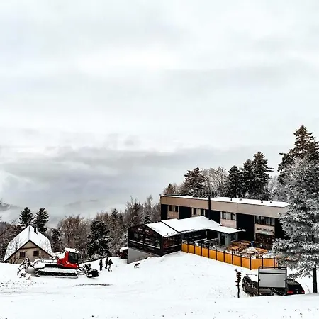 Horská šport Drienica