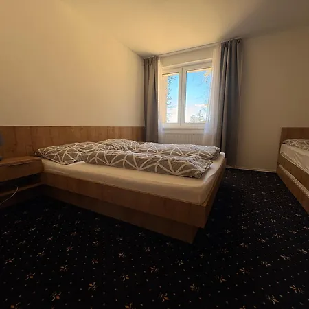Horská šport Penzion Drienica
