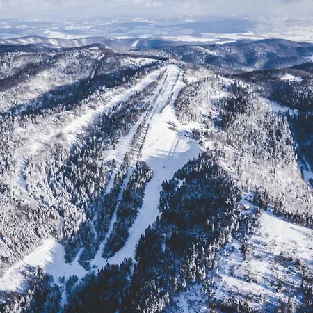 Horská šport Drienica